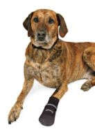 TRIXIE Pfotenschutz Walker